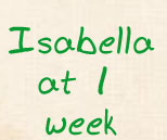 isabella at 1 week